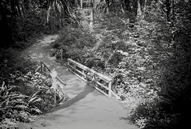 20260513 Leica iiiF 7Artisans 35 10 Export