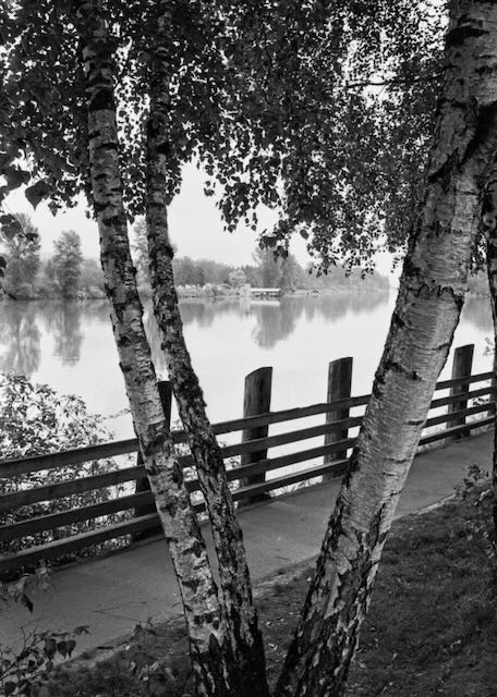 20260513 Leica iiiF 7Artisans 35 19 Export