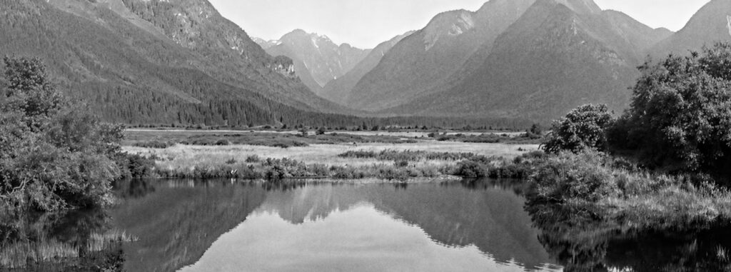 20260522 Kodak 3a Ilford FP4 1985 1 RestoreAI